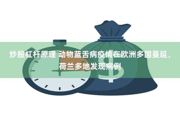 炒股杠杆原理 动物蓝舌病疫情在欧洲多国蔓延，荷兰多地发现病例