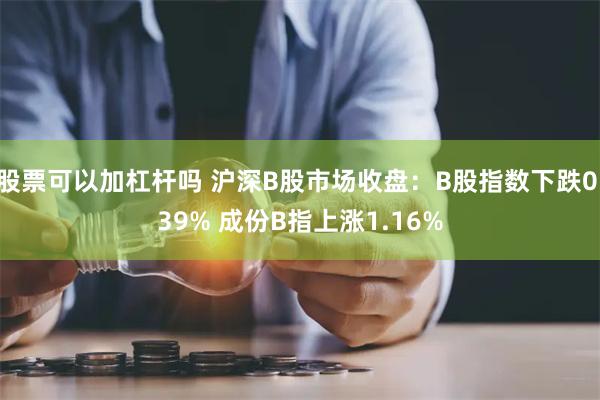 股票可以加杠杆吗 沪深B股市场收盘：B股指数下跌0.39% 成份B指上涨1.16%