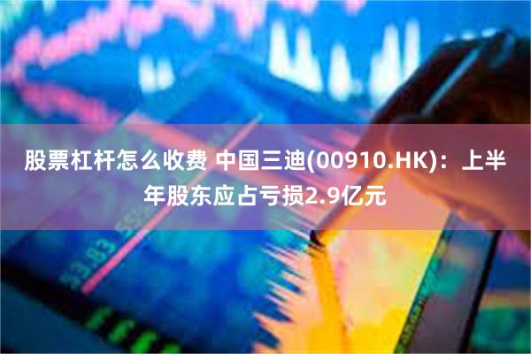 股票杠杆怎么收费 中国三迪(00910.HK)：上半年股东应占亏损2.9亿元