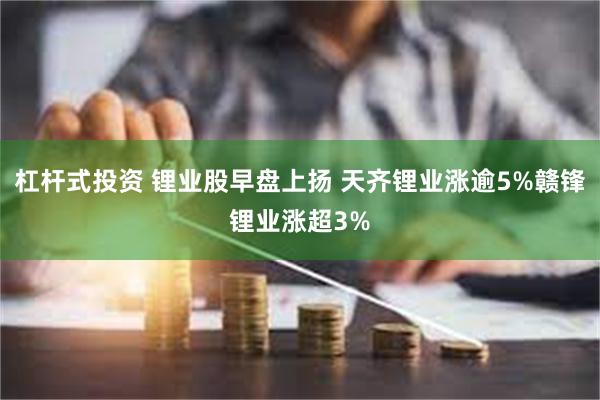 杠杆式投资 锂业股早盘上扬 天齐锂业涨逾5%赣锋锂业涨超3%