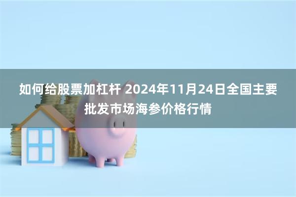 如何给股票加杠杆 2024年11月24日全国主要批发市场海参价格行情