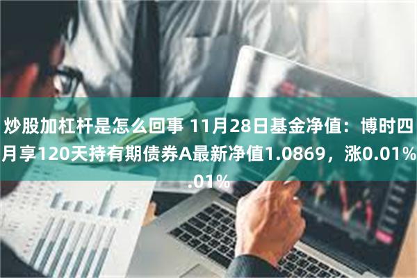 炒股加杠杆是怎么回事 11月28日基金净值：博时四月享120天持有期债券A最新净值1.0869，涨0.01%