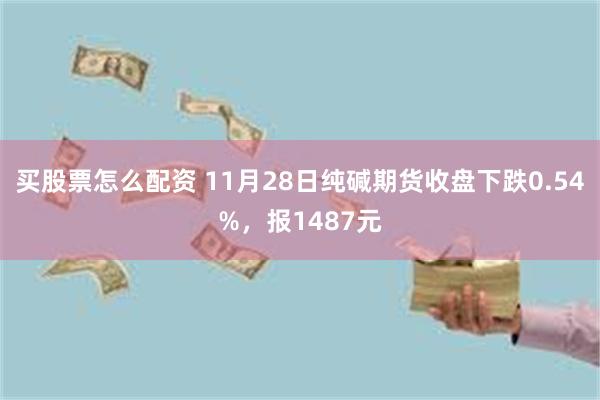 买股票怎么配资 11月28日纯碱期货收盘下跌0.54%，报1487元