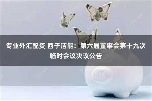 专业外汇配资 西子洁能：第六届董事会第十九次临时会议决议公告