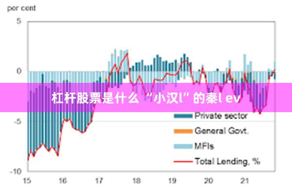 杠杆股票是什么 “小汉l”的秦l ev