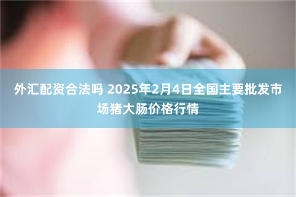 外汇配资合法吗 2025年2月4日全国主要批发市场猪大肠价格行情